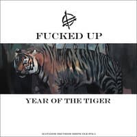 Year Of The Tiger