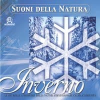 Suoni della natura: Inverno