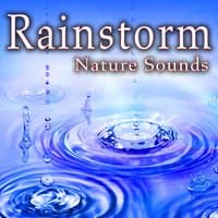 Rainstorm (Nature Sounds)