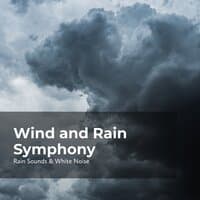 Wind and Rain Symphony