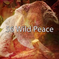 56 Wild Peace