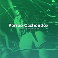 Perreo Cachondox