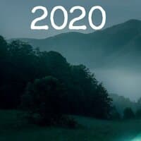 2020