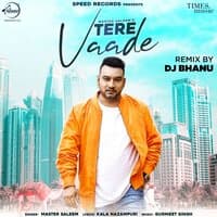 Tere Vaade  - Single