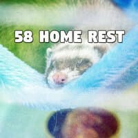 58 Home Rest