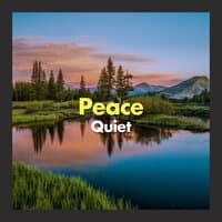 Peace & Quiet