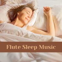 Flute Sleep Music – Native American and Indian Flute Music to Sleep