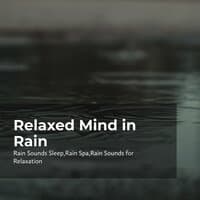 Relaxed Mind in Rain