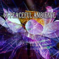 45 Peaceful Ambience