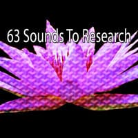 63 Sounds to Research