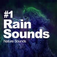 #1 Rain Sounds