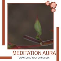 Meditation Aura - Connecting Your Divine Soul