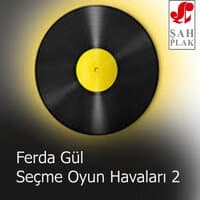 Seçme Oyun Havaları 2