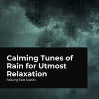 Calming Tunes of Rain for Utmost Relaxation