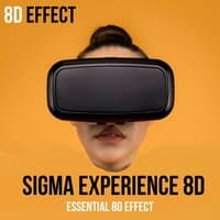 Sigma Experience 8d