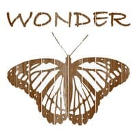 Wonder