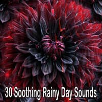 30 Soothing Rainy Day Sounds