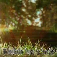 60 Meditation Tracks for Pure Zen