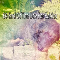 66 End of the Day for Babies