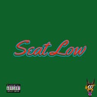 Seat Low