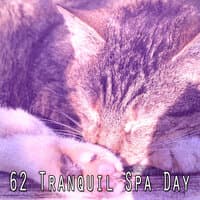 62 Tranquil Spa Day