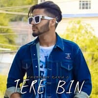 Tere Bin