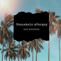 Ocopakele X Pargoy