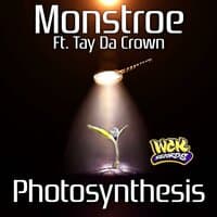 Photosynthesis