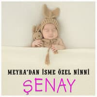 Şenay İsmine Özel Ninni