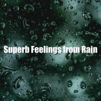 Superb Feelings from Rain