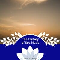 The Fantasy Of Spa Music