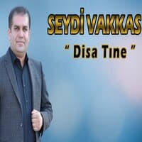 Disa Tıne