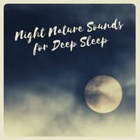 Night Nature Sounds for Deep Sleep