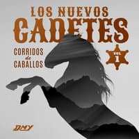 Corridos De Caballos, Vol. 1