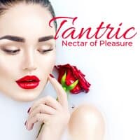 Tantric Nectar of Pleasure