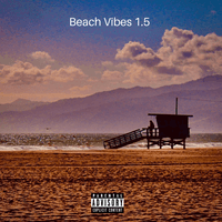 Beach Vibes 1.5