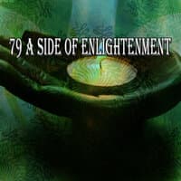 79 A Side of Enlightenment