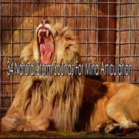 34 Natural Storm Sounds for Mind Articulation