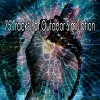 75 Tracks for Outdoor Simulation