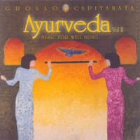 Ayurveda Vol II (Music for Well Being)