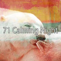 71 Calming Night