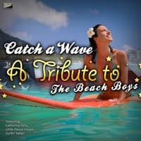 Catch a Wave - A Tribute to The Beach Boys