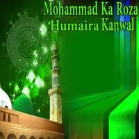 Mohammad Ka Roza