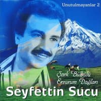 Unutulmayanlar, Vol. 2