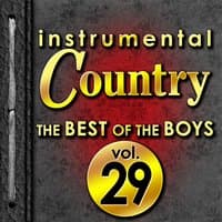 Instrumental Country: The Best of the Boys, Vol. 29