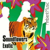 SoundFlowers Exotic