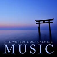 The World's Most Calming Music