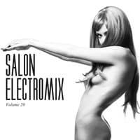 Salon Electromix, Vol. 20