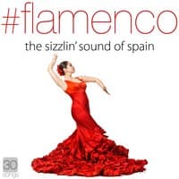 Flamenco Fire