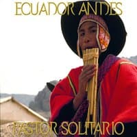 Ecuador Andes Pastor Solitario